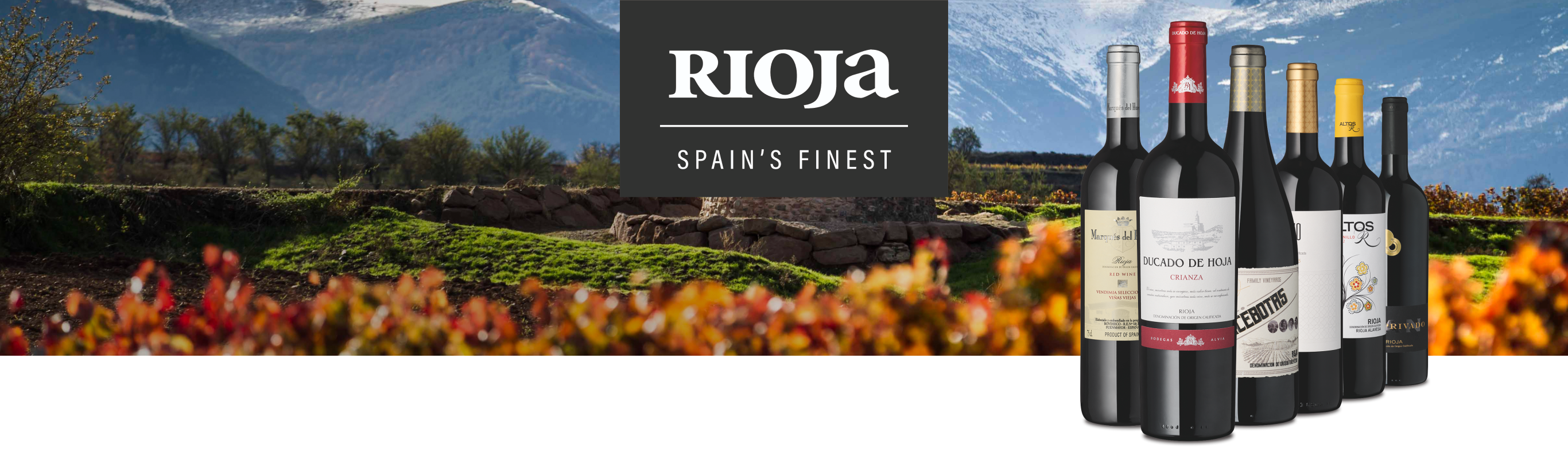 Wein News Rioja November 24