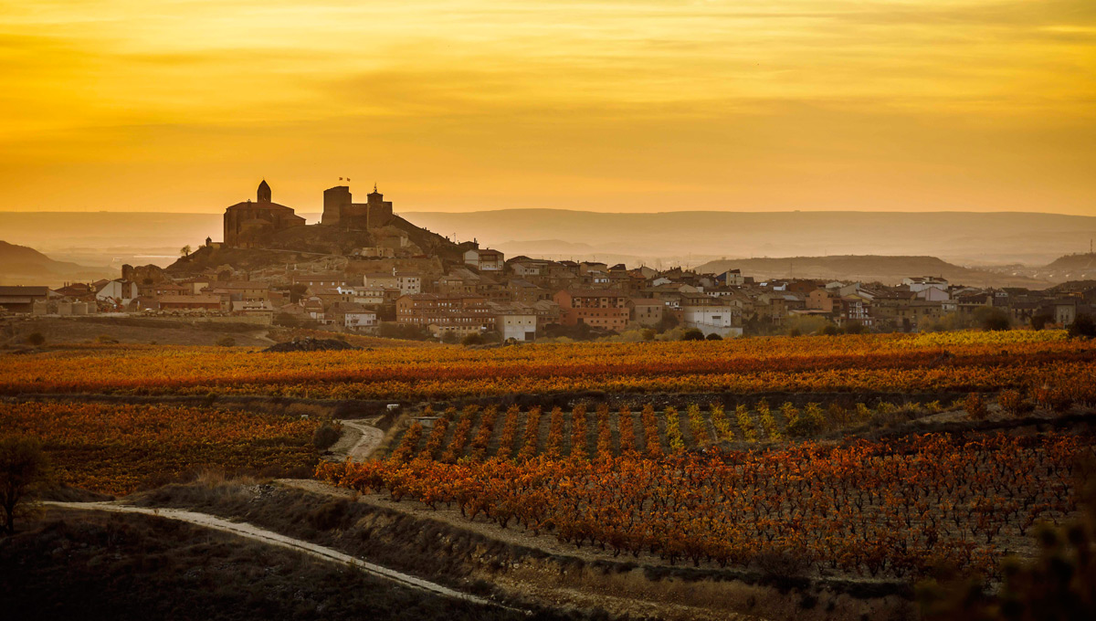 Wein News Rioja November 24