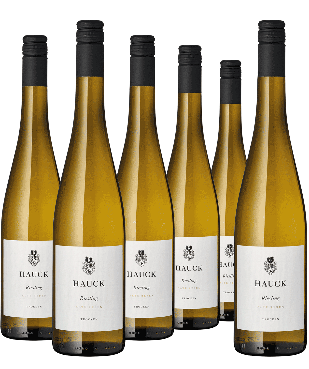 5+1 Paket Riesling Alte Reben