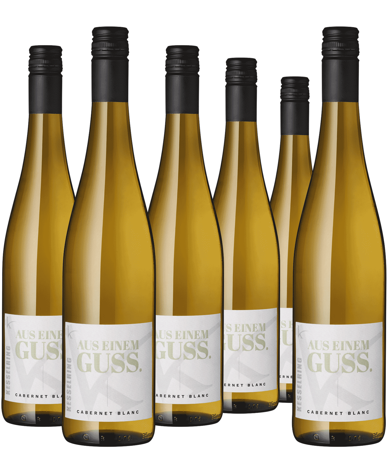 5+1 Paket "Aus einem Guss" Cabernet Blanc