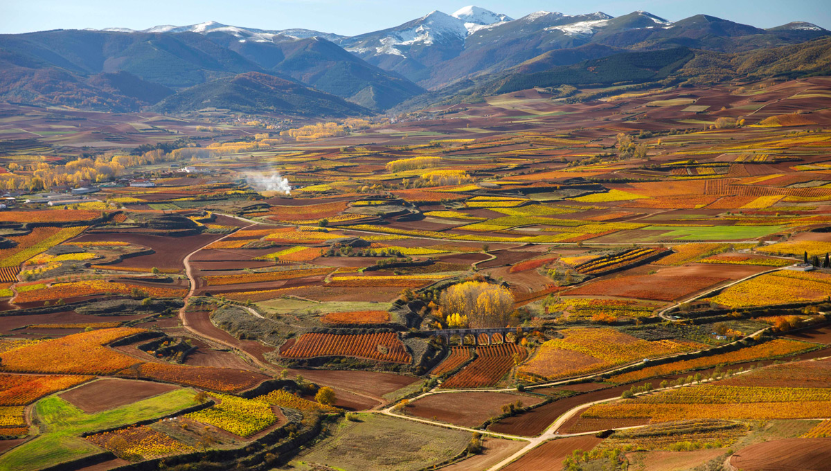 Wein News Rioja November 24