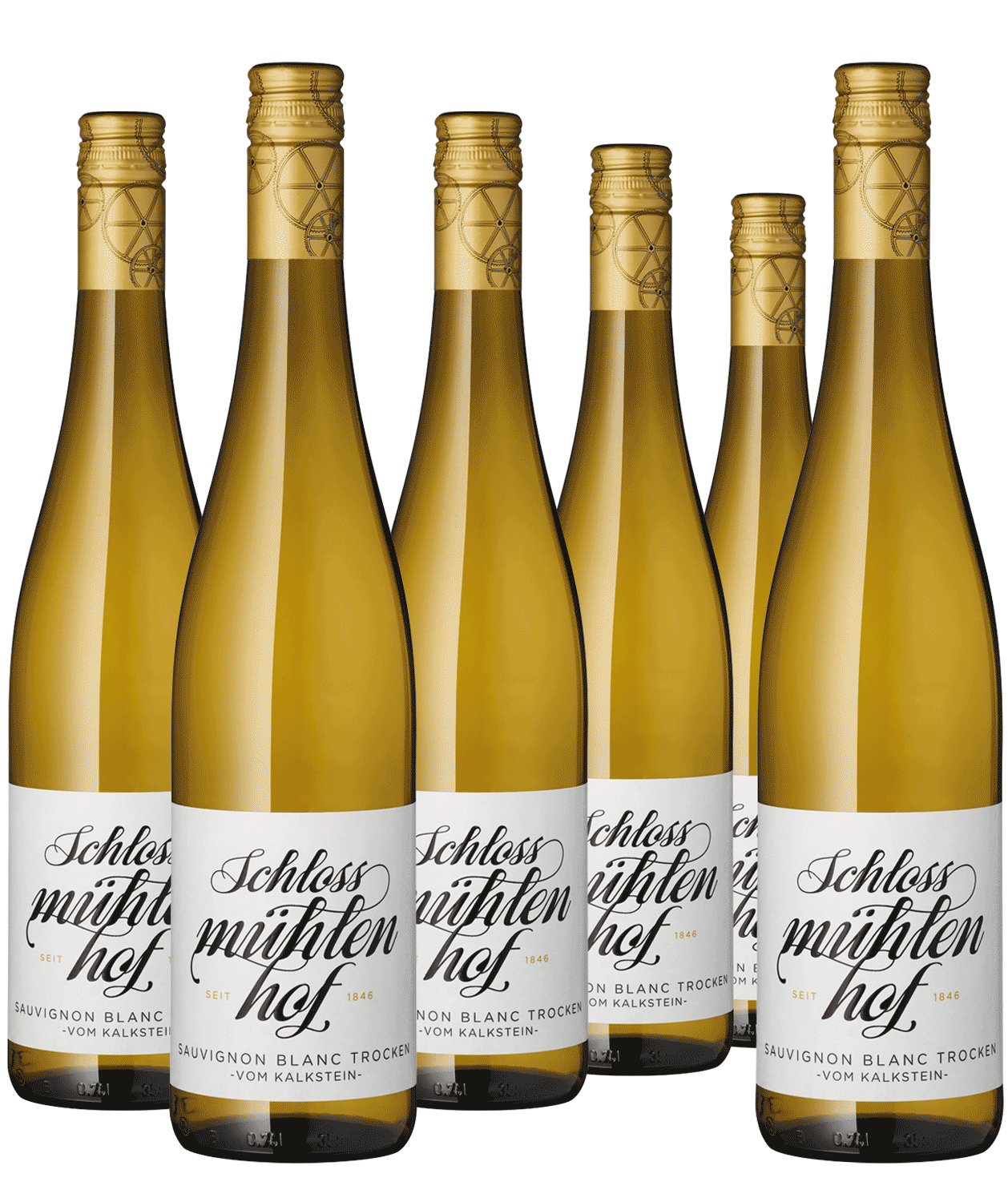 5+1 Paket "Vom Kalkstein" Sauvignon Blanc