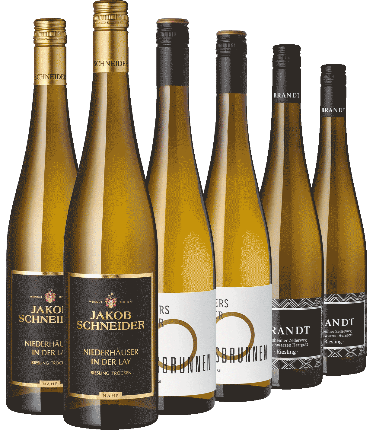 6er Paket Lagen Rieslinge II